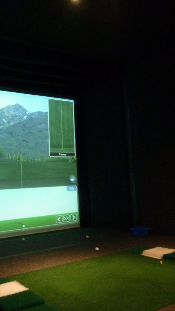 Indoor golf simulator (portrait)